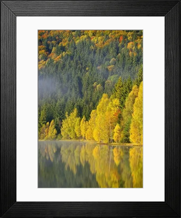 Framed Print : Autumn landscape in the mountains with trees reflecting in the water at St. Ana's lake, Romania Framed Print : Autumn landscape in the mountains with trees reflecting in the water at St. Ana's lake, Romania