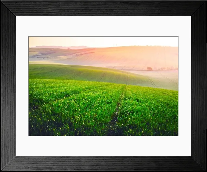 Framed Print : Picturesque rural landscape with green agricultural field and trees on spring hills. South Moravia region, Czech Republic Framed Print : Picturesque rural landscape with green agricultural field and trees on spring hills. South Moravia region, Czech Republic