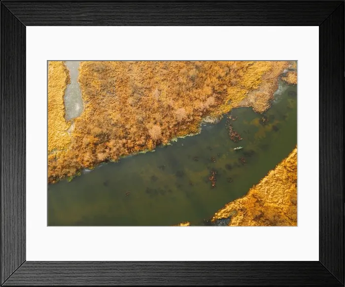 Framed Print : Aerial View Of Dry Grass On Coast And Partly Frozen River Landscape In Late Autumn Day. High Attitude View. Marsh Bog. Drone View. Bird's Eye View Framed Print : Aerial View Of Dry Grass On Coast And Partly Frozen River Landscape In Late Autumn Day. High Attitude View. Marsh Bog. Drone View. Bird's Eye View