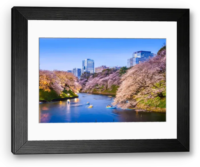 Framed Print : Tokyo, Japan at Chidorigafuchi Imperial Palace moat during the spring season Framed Print : Tokyo, Japan at Chidorigafuchi Imperial Palace moat during the spring season