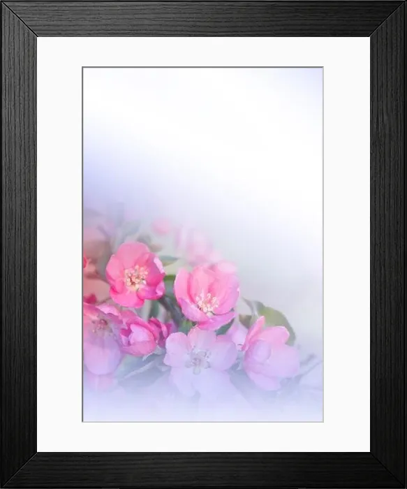 Framed Print : Beautiful Nature Background.Floral Art Design.Abstract Macro Photography.Spring Flowers.Creative Artistic Wallpaper.Celebration, love.Sakura Blossom Framed Print : Beautiful Nature Background.Floral Art Design.Abstract Macro Photography.Spring Flowers.Creative Artistic Wallpaper.Celebration, love.Sakura Blossom