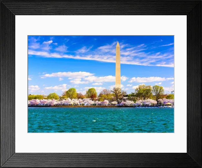 Framed Print : Washington DC, USA at the tidal basin with Washington Monument in spring season