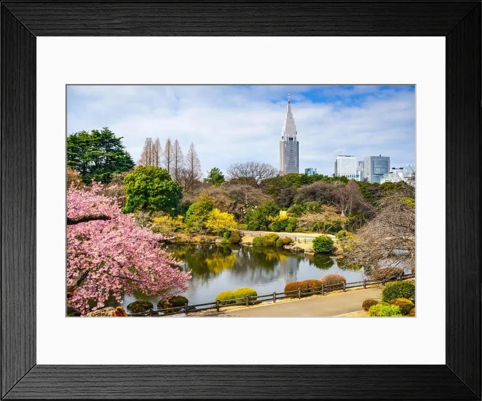 Framed Print : Tokyo, Japan at the Shinjuku District during spring season Framed Print : Tokyo, Japan at the Shinjuku District during spring season