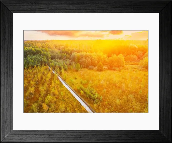 Framed Print : Amazing Scenic Aerial Bright Sunbeams View Of Nature Reserve Swamp Landscape. Narrow Wooden Hiking Trail Winding Through Marsh. Cognitive Boardwalk Framed Print : Amazing Scenic Aerial Bright Sunbeams View Of Nature Reserve Swamp Landscape. Narrow Wooden Hiking Trail Winding Through Marsh. Cognitive Boardwalk