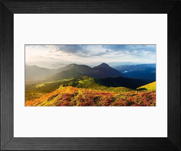 Framed Print : Picturesque panoramical landscape with magic pink rhododendron flowers blooming in spring mountains and blue sky with clouds Framed Print : Picturesque panoramical landscape with magic pink rhododendron flowers blooming in spring mountains and blue sky with clouds