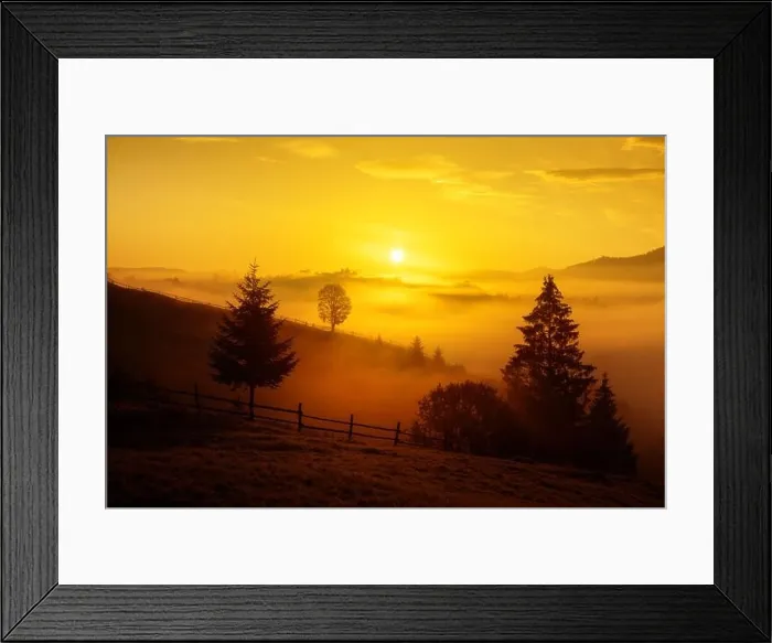 Framed Print : Picturesque rural landscape in spring mountains with trees and sea of fog. Incredible golden backlight from sunset sun Framed Print : Picturesque rural landscape in spring mountains with trees and sea of fog. Incredible golden backlight from sunset sun