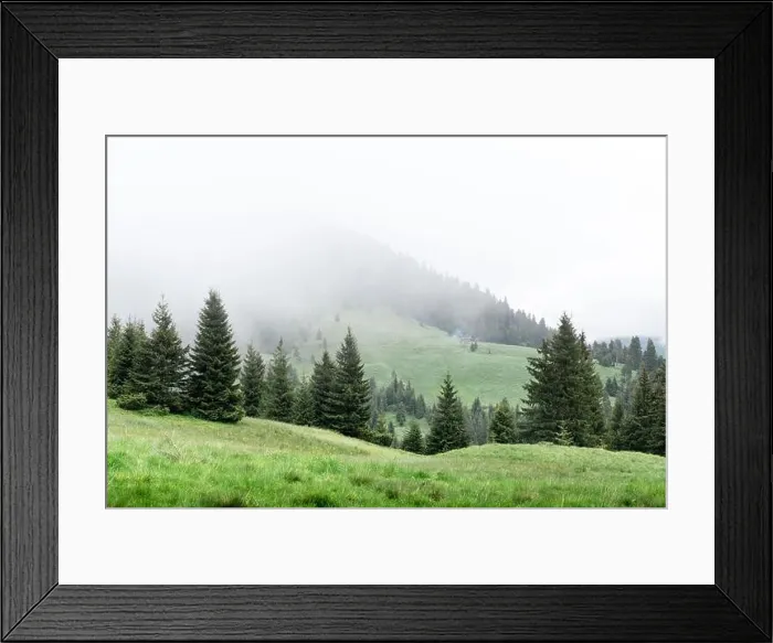 Framed Print : Picturesque spring meadow with foogy forest in the Carpathian mountains, Ukraine. Landscape photography Framed Print : Picturesque spring meadow with foogy forest in the Carpathian mountains, Ukraine. Landscape photography