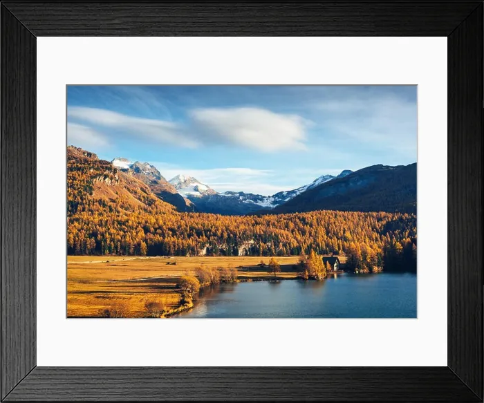 Framed Print : Autumn lake Sils (Silsersee) in Swiss Alps mountains. Snowy peaks and orange trees on background. Switzerland, Maloja region, Upper Engadine Framed Print : Autumn lake Sils (Silsersee) in Swiss Alps mountains. Snowy peaks and orange trees on background. Switzerland, Maloja region, Upper Engadine