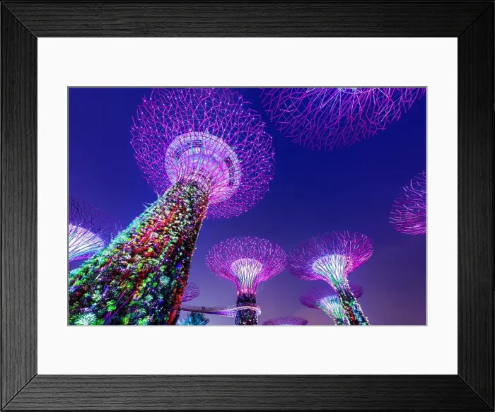 Framed Print : Supertrees at Gardens by the bay in Singapore Framed Print : Supertrees at Gardens by the bay in Singapore