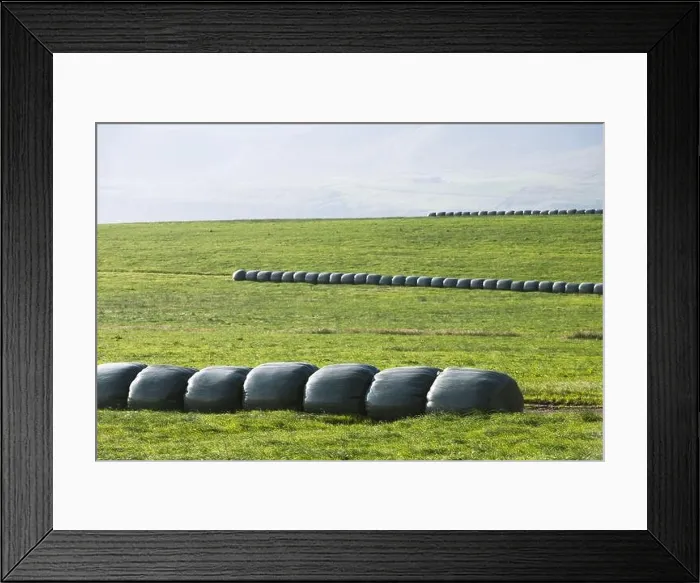 Framed Print : Rural scene with farm field and hay stacks on the Faroe Islands Framed Print : Rural scene with farm field and hay stacks on the Faroe Islands