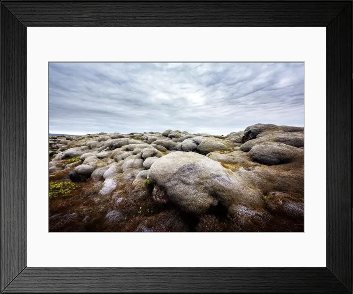 Framed Print : Marvelous Iceland landscape with lava field covered with brown moss Eldhraun from volcano eruption and cloudy sky Framed Print : Marvelous Iceland landscape with lava field covered with brown moss Eldhraun from volcano eruption and cloudy sky