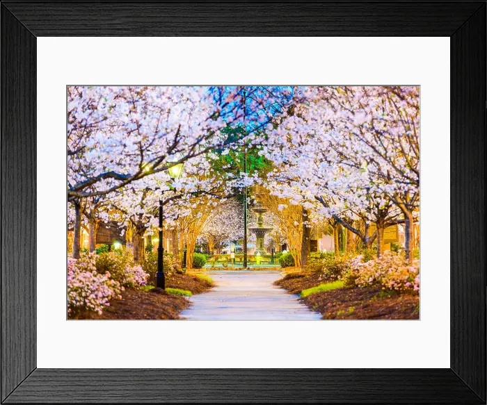 Framed Print : Macon, Georgia, USA in the spring Framed Print : Macon, Georgia, USA in the spring