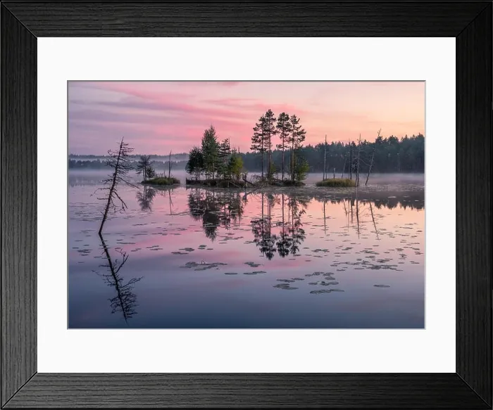 Framed Print : Beautiful sunrise landscape with misty mood and calm lake at foggy summer morning in Finland Framed Print : Beautiful sunrise landscape with misty mood and calm lake at foggy summer morning in Finland