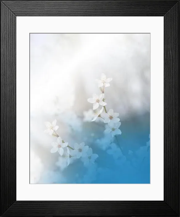 Framed Print : Beautiful Nature Background.Floral Art Design.Abstract Macro Photography.Spring Flowers.Creative Artistic Wallpaper.Celebration.Sakura Cherry Blossom Framed Print : Beautiful Nature Background.Floral Art Design.Abstract Macro Photography.Spring Flowers.Creative Artistic Wallpaper.Celebration.Sakura Cherry Blossom