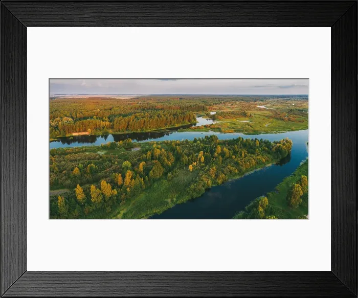Framed Print : Aerial View Green Pine Forest And River Landscape In Sunny Summer Evening. Top View Of Beautiful European Nature From High Attitude In Summer Season Framed Print : Aerial View Green Pine Forest And River Landscape In Sunny Summer Evening. Top View Of Beautiful European Nature From High Attitude In Summer Season