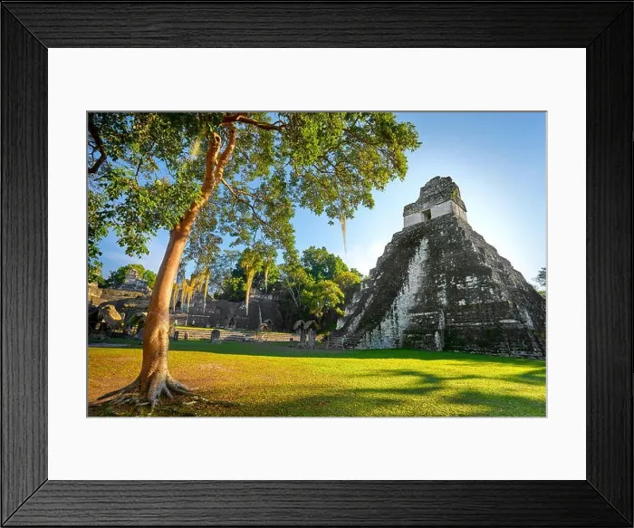 Framed Print : Maya Ruins - Temple of the Great Jaguar, Tikal National Park, Yucatan, Guatemala, UNESCO Framed Print : Maya Ruins - Temple of the Great Jaguar, Tikal National Park, Yucatan, Guatemala, UNESCO