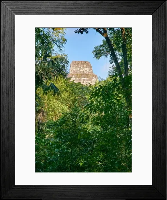 Framed Print : Maya Ruins - Temple IV, Tikal National Park, Guatemala, Yucatan, UNESCO Framed Print : Maya Ruins - Temple IV, Tikal National Park, Guatemala, Yucatan, UNESCO
