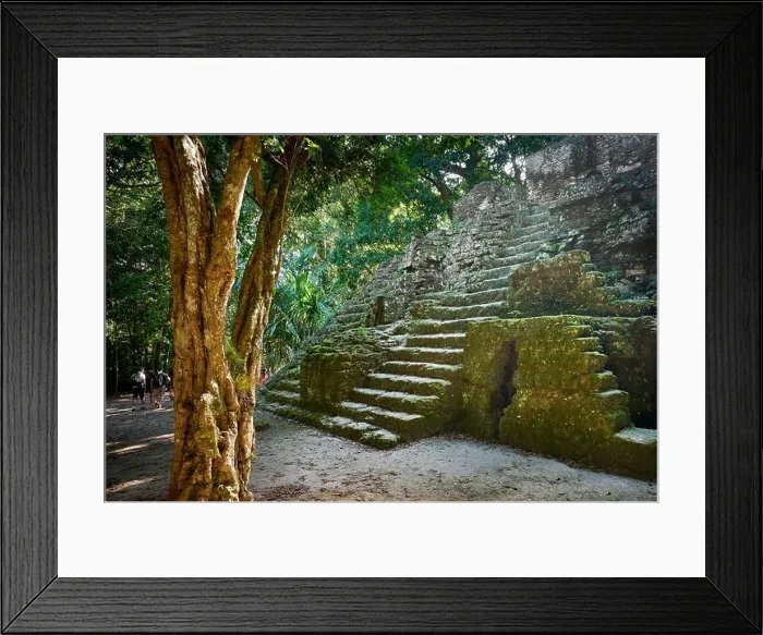 Framed Print : Ancient Maya Ruins, Tikal National Park, Yucatan, Guatemala UNESCO Framed Print : Ancient Maya Ruins, Tikal National Park, Yucatan, Guatemala UNESCO