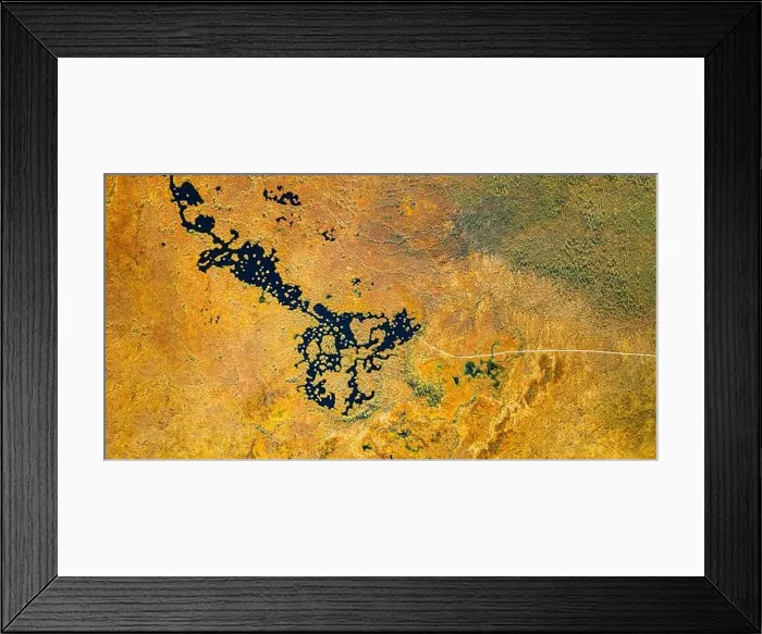 Framed Print : Miory District, Vitebsk Region, Belarus. The Yelnya Swamp. Upland And Transitional Bogs With Numerous Lakes. Elevated Aerial View Of Yelnya Nature