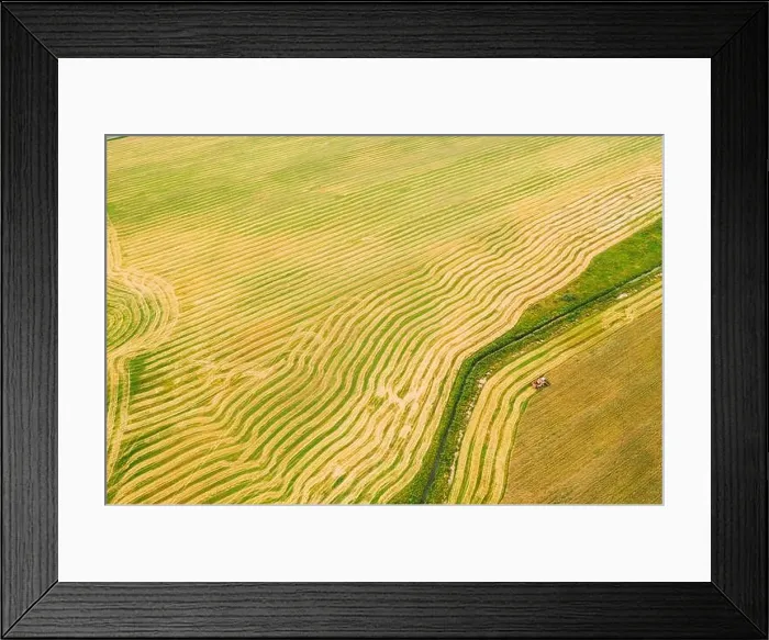 Framed Print : Aerial View Of Rural Landscape. Combine Harvester Working In Field, Collects Seeds. Harvesting Of Wheat In Late Summer. Agricultural Machine Collectin Framed Print : Aerial View Of Rural Landscape. Combine Harvester Working In Field, Collects Seeds. Harvesting Of Wheat In Late Summer. Agricultural Machine Collectin