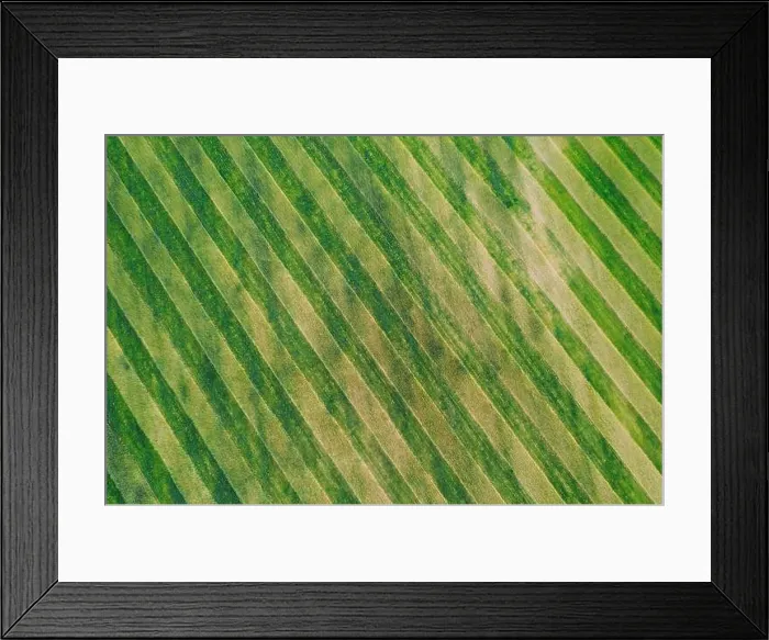 Framed Print : Natural Green Field Background With Trails Lines. Flat View Top View Of Field With Growing Young Green Wheat. Meadow Grass Framed Print : Natural Green Field Background With Trails Lines. Flat View Top View Of Field With Growing Young Green Wheat. Meadow Grass