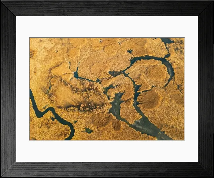 Framed Print : Belarus. Aerial View Of Dry Grass And Partly Frozen Curved River Landscape In Late Autumn Day. High Attitude View. Marsh Bog. Drone View. Bird's Eye V Framed Print : Belarus. Aerial View Of Dry Grass And Partly Frozen Curved River Landscape In Late Autumn Day. High Attitude View. Marsh Bog. Drone View. Bird's Eye V