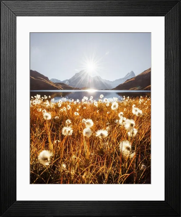 Framed Print : Picturesque view on Bachalpsee lake in Swiss Alps mountains. Grindelwald valley, Switzerland. Landscape photography Framed Print : Picturesque view on Bachalpsee lake in Swiss Alps mountains. Grindelwald valley, Switzerland. Landscape photography