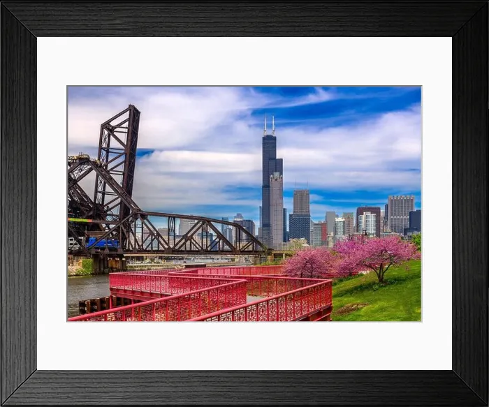 Framed Print : Chicago, Illinois, USA park and downtown skyline in spring Framed Print : Chicago, Illinois, USA park and downtown skyline in spring