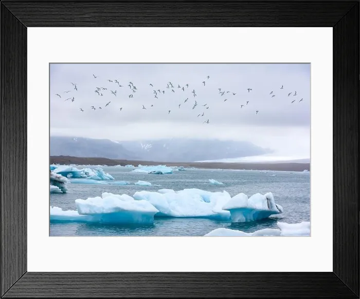 Framed Print : Gorgeous evening landscape with floating icebergs and birds in Jokulsarlon glacier lagoon, Iceland Framed Print : Gorgeous evening landscape with floating icebergs and birds in Jokulsarlon glacier lagoon, Iceland