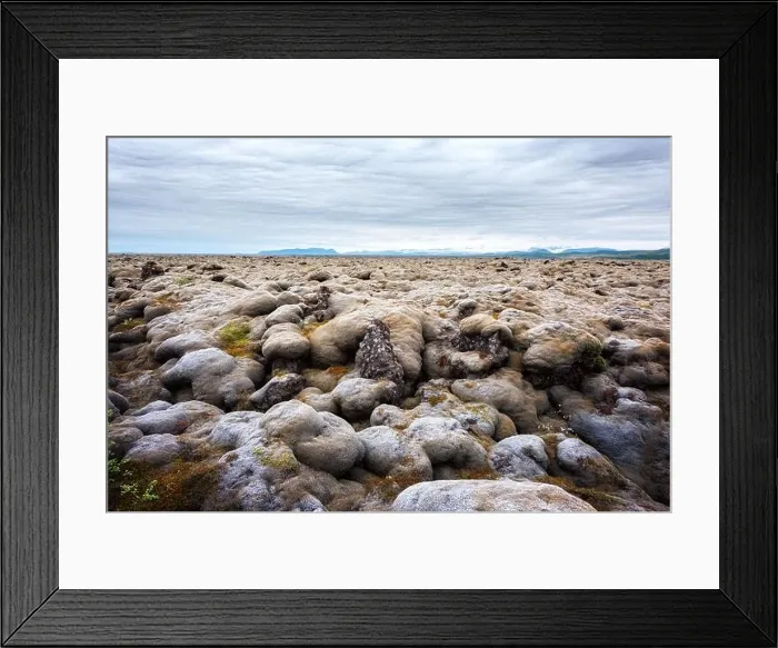 Framed Print : Offbeat Iceland landscape with lava field covered with brown moss Eldhraun from volcano eruption and cloudy sky Framed Print : Offbeat Iceland landscape with lava field covered with brown moss Eldhraun from volcano eruption and cloudy sky