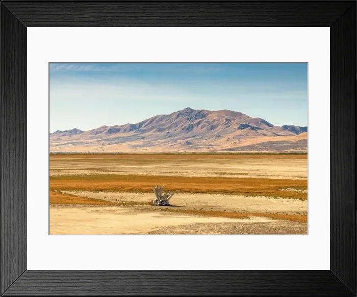 Framed Print : Salt Lake City, Utah, USA baren landscape at the Great Salt Lake Framed Print : Salt Lake City, Utah, USA baren landscape at the Great Salt Lake