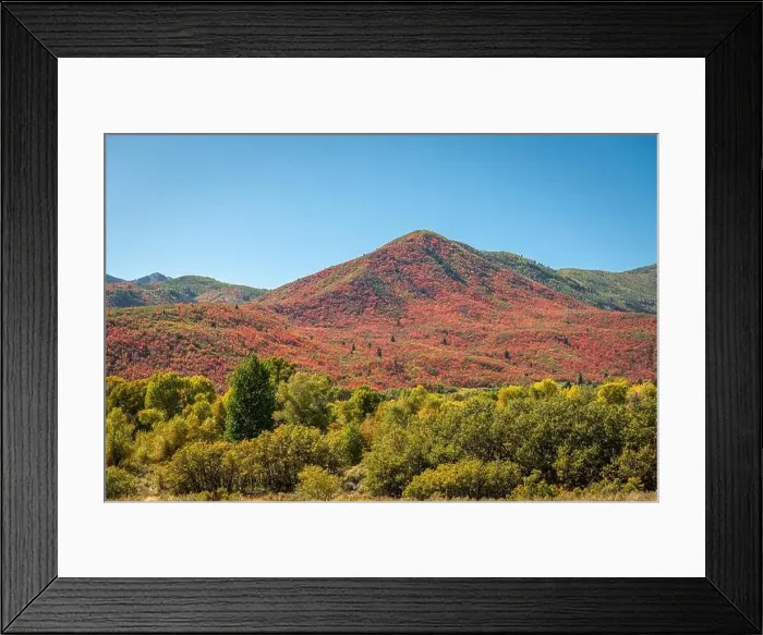 Framed Print : Park City, Utah, USA foliage along the Wasatch Back in autumn Framed Print : Park City, Utah, USA foliage along the Wasatch Back in autumn