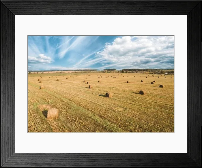 Framed Print : Aerial View Of Summer Hay Rolls Straw Field Landscape. Haystack, Hay Roll In Summer Sunny Day. Bright Blue Sky Above Field Landscape. Harvest Season Framed Print : Aerial View Of Summer Hay Rolls Straw Field Landscape. Haystack, Hay Roll In Summer Sunny Day. Bright Blue Sky Above Field Landscape. Harvest Season