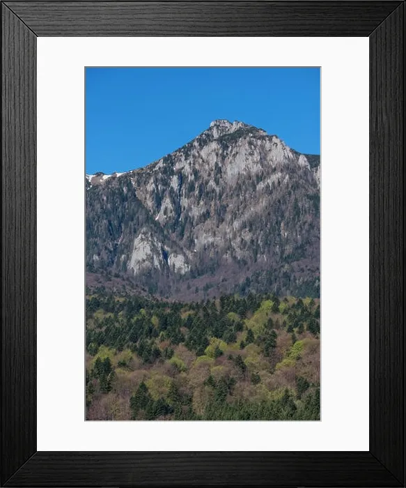 Framed Print : Mountain peak between green forest at the bottom and blue sky on top Framed Print : Mountain peak between green forest at the bottom and blue sky on top
