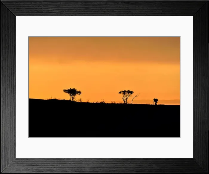 Framed Print : Trees and male photographer silhouette on a hill at sunrise Framed Print : Trees and male photographer silhouette on a hill at sunrise
