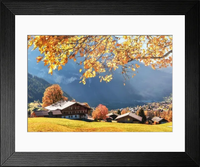 Framed Print : Picturesque autumn landscape with yellow leaves and wooden houses in Grindelwald village in Swiss Alps Framed Print : Picturesque autumn landscape with yellow leaves and wooden houses in Grindelwald village in Swiss Alps