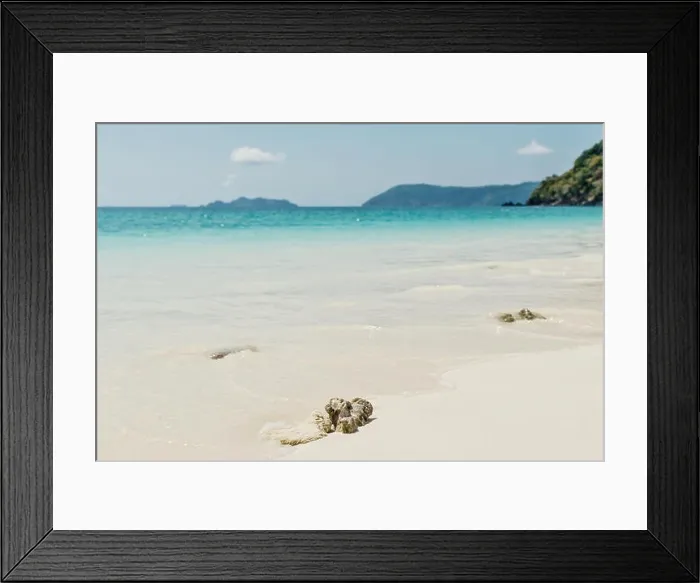 Framed Print : sea beach blue sky sand sun daylight relaxation landscape viewpoint Framed Print : sea beach blue sky sand sun daylight relaxation landscape viewpoint