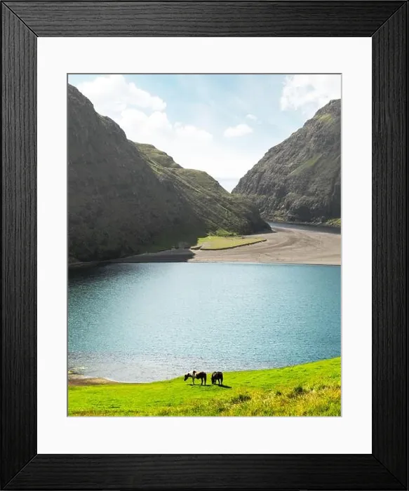 Framed Print : Amazing summer view on Pollurin Laguna in Saksun village. Beauty landscape with two horses on lush green meadow and high mountains Framed Print : Amazing summer view on Pollurin Laguna in Saksun village. Beauty landscape with two horses on lush green meadow and high mountains