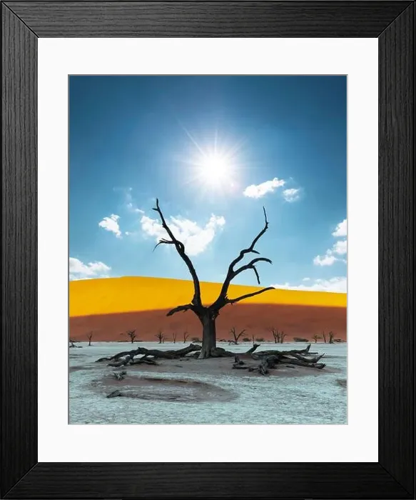 Framed Print : Dead Camelthorn Trees at sunrise, Deadvlei, Namib-Naukluft National Park, Namibia, Africa. Dried trees in Namib desert. Landscape photography Framed Print : Dead Camelthorn Trees at sunrise, Deadvlei, Namib-Naukluft National Park, Namibia, Africa. Dried trees in Namib desert. Landscape photography