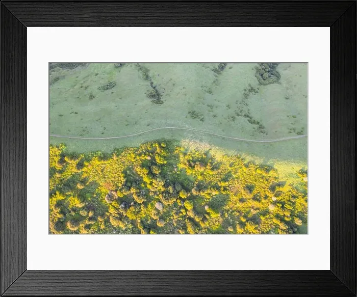 Framed Print : Morning light shines on the tranquil, green hills of the east bay region of Northern California, just a few miles east of San Francisco Bay