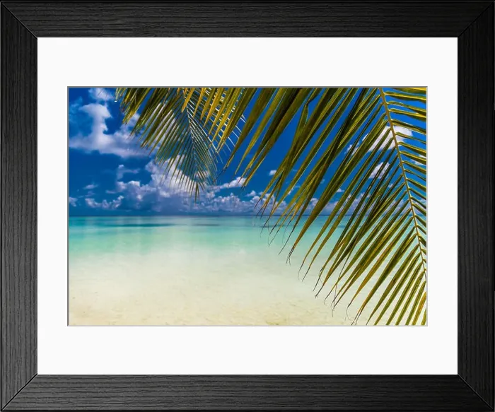 Framed Print : Beautiful tropical beach, Maldives Framed Print : Beautiful tropical beach, Maldives