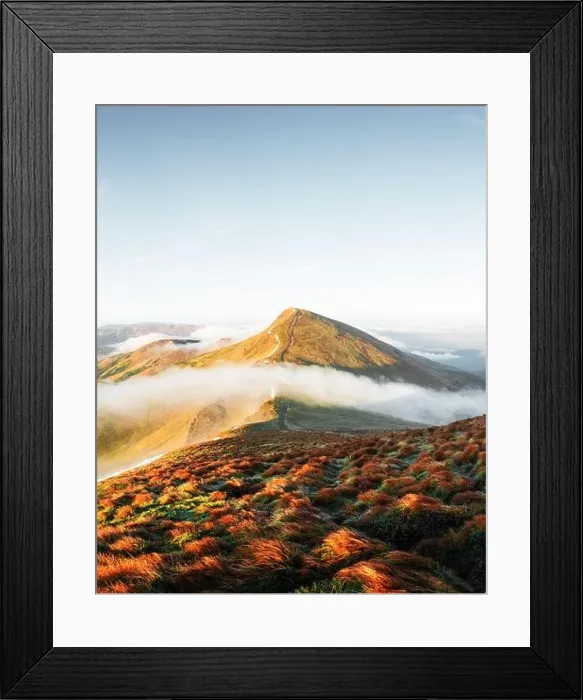 Framed Print : Orange grass trembling in the wind in autumn mountains at sunrise. A soft mist flows through the mountain peaks. Carpathian mountains, Ukraine Framed Print : Orange grass trembling in the wind in autumn mountains at sunrise. A soft mist flows through the mountain peaks. Carpathian mountains, Ukraine