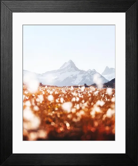 Framed Print : Picturesque view on Bachalpsee lake in Swiss Alps mountains. Snowy peaks of Wetterhorn, Mittelhorn and Rosenhorn on background Framed Print : Picturesque view on Bachalpsee lake in Swiss Alps mountains. Snowy peaks of Wetterhorn, Mittelhorn and Rosenhorn on background