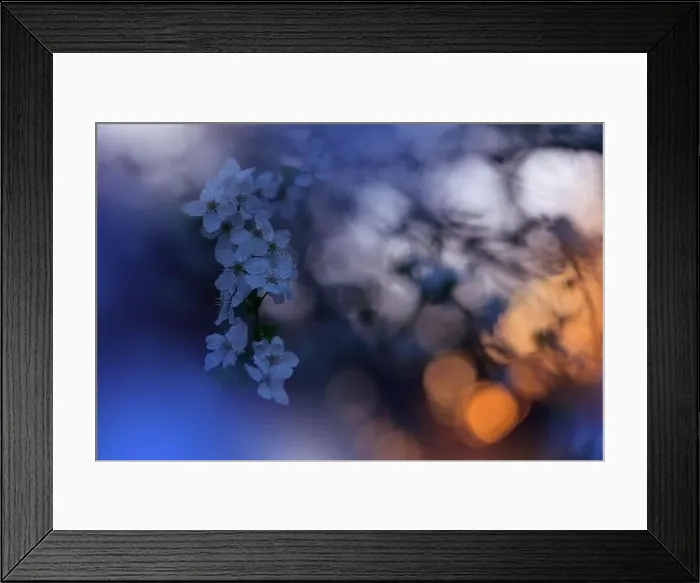 Framed Print : Beautiful Nature Background.Floral Art Design.Abstract Macro Photography.Colorful Flower.Blooming Spring Flowers.Creative Artistic Wallpaper.Blue Sky Framed Print : Beautiful Nature Background.Floral Art Design.Abstract Macro Photography.Colorful Flower.Blooming Spring Flowers.Creative Artistic Wallpaper.Blue Sky