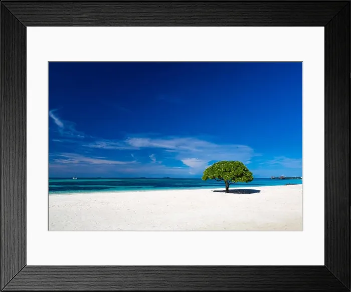 Framed Print : Beautiful beach in Maldives, with a tropical tree Framed Print : Beautiful beach in Maldives, with a tropical tree