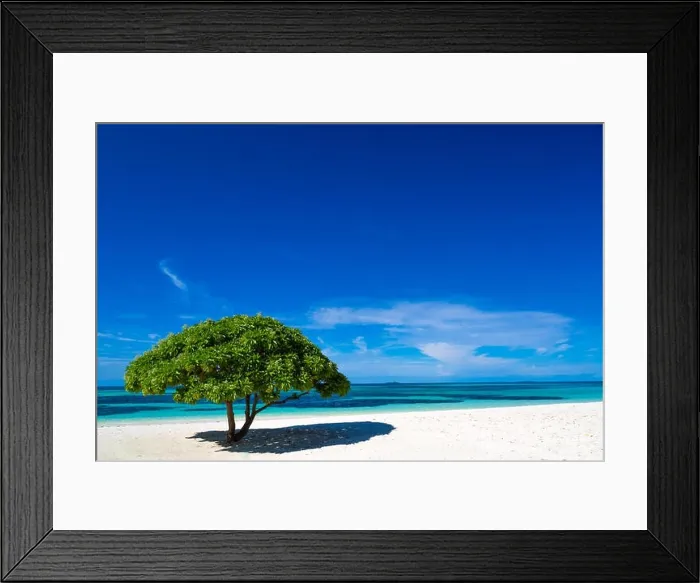 Framed Print : Beautiful beach in Maldives, with a tropical tree Framed Print : Beautiful beach in Maldives, with a tropical tree