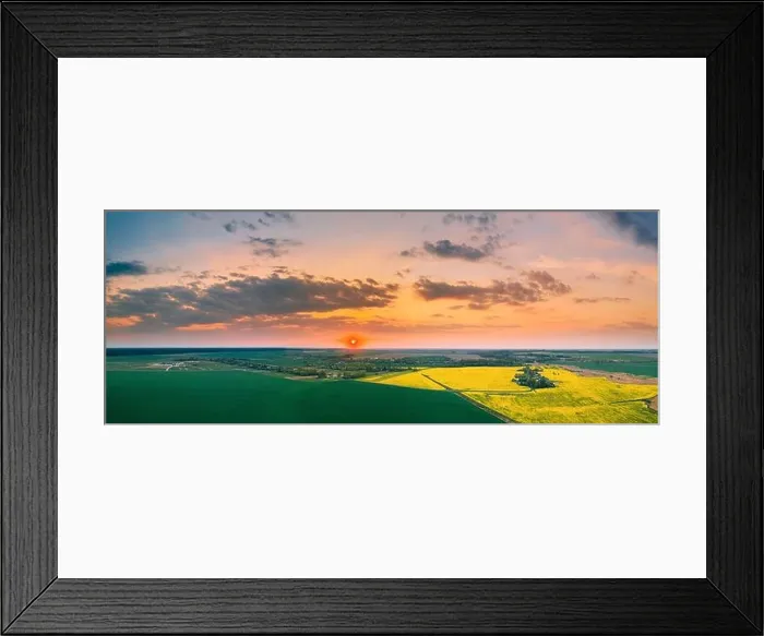 Framed Print : Aerial View Of Green Meadow And Field With Blooming Canola Yellow Flowers. Top View Of Blossom Plant, Rapeseed Meadow Grass Landscape At Sunset Sunris Framed Print : Aerial View Of Green Meadow And Field With Blooming Canola Yellow Flowers. Top View Of Blossom Plant, Rapeseed Meadow Grass Landscape At Sunset Sunris