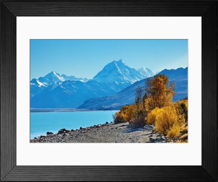 Framed Print : Pukaki Lake and Mount Cook the highest pick of New Zealand Framed Print : Pukaki Lake and Mount Cook the highest pick of New Zealand