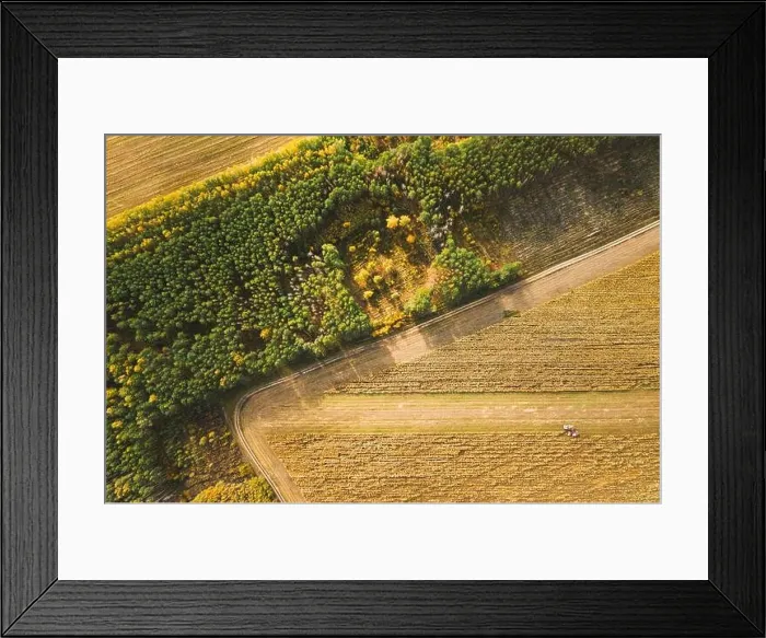 Framed Print : Aerial View Of Rural Landscape. Combine Harvester And Truck Working Together In Field, Collects Seeds. Harvesting Of Wheat In Autumn. Agricultural Mac Framed Print : Aerial View Of Rural Landscape. Combine Harvester And Truck Working Together In Field, Collects Seeds. Harvesting Of Wheat In Autumn. Agricultural Mac