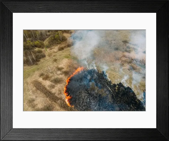 Framed Print : Aerial View. Spring Dry Grass Burns During Drought Hot Weather. Bush Fire And Smoke In Meadow Field. Wild Open Fire Destroys Grass. Nature In Danger Framed Print : Aerial View. Spring Dry Grass Burns During Drought Hot Weather. Bush Fire And Smoke In Meadow Field. Wild Open Fire Destroys Grass. Nature In Danger